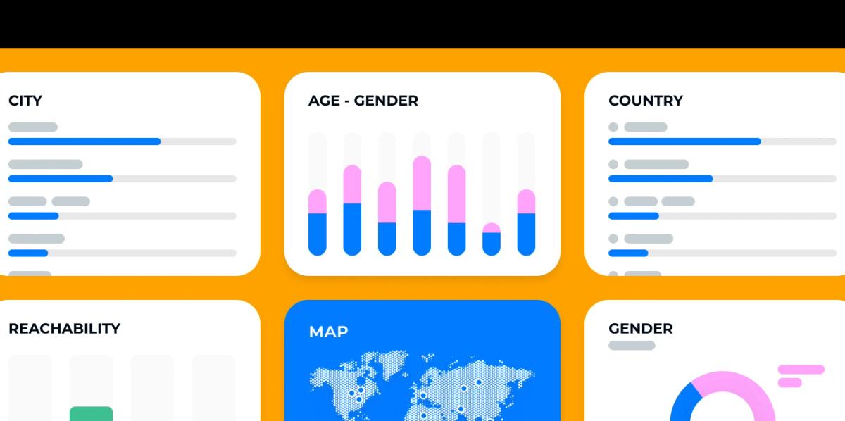 Inflead Audience - Age Gender