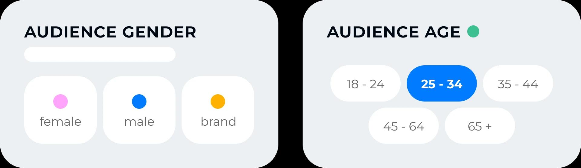 Inflead Audience - Age Gender